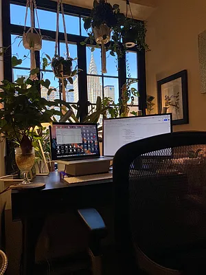 Rented by Douglas Elliman | media 3