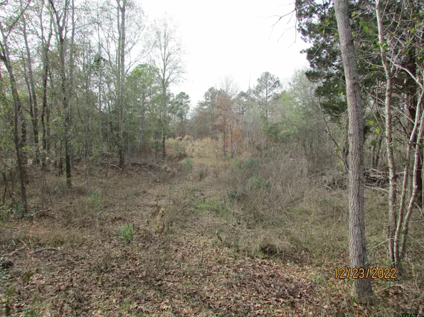 6110 Fm 314 S, Larue, TX 75770