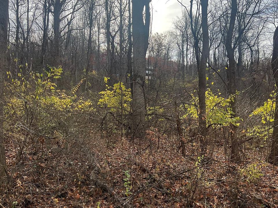 1st image of Venus Branch Lot 138