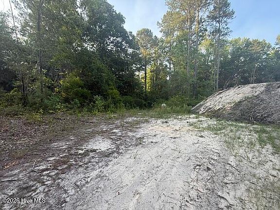 5th image of Off Pats Road