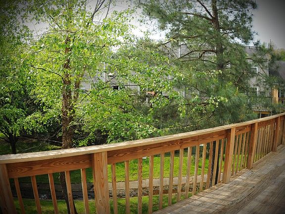 View from Deck