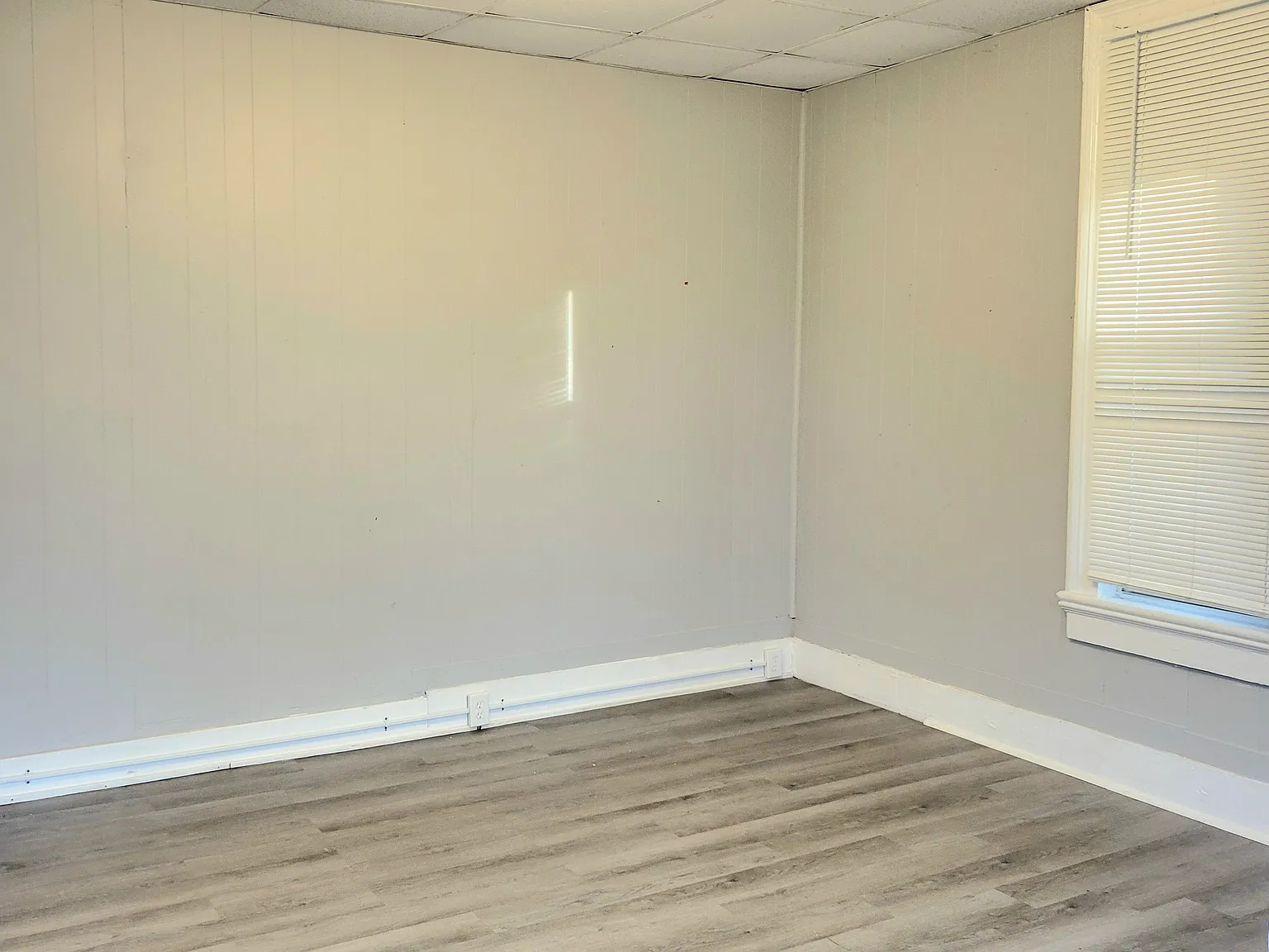 1 bed, $750 — Photo 4