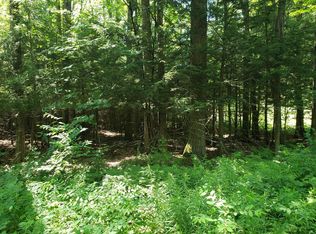 Eagle Point Rd, Grayling, MI 49738