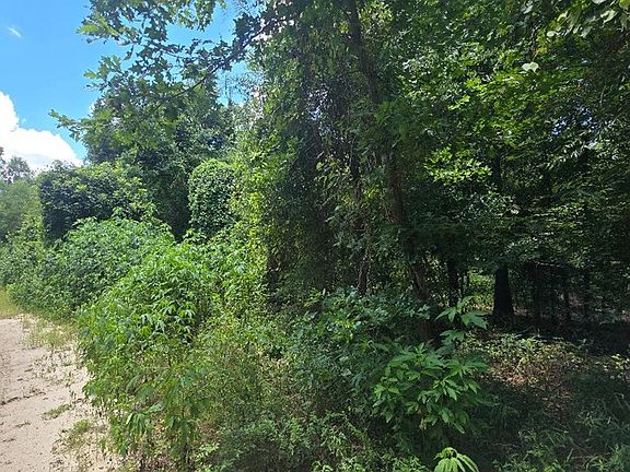 3rd image of 23646 County Road 4154