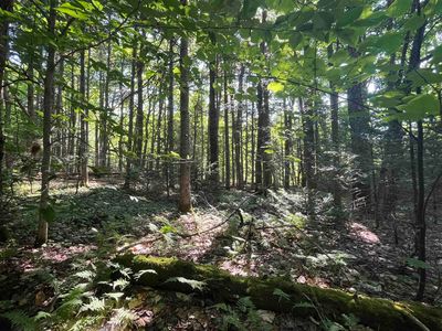 556 Diette Road, Lowell, VT, 05847