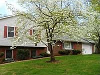 2nd image of 1668 White Hill Rd