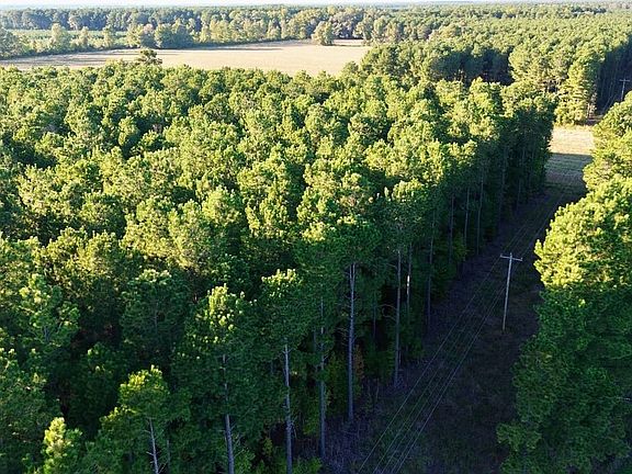 Dji Fly 20261012 173104 130 1791840760341 Photo Optimized