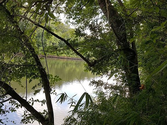 Chattahoochee River