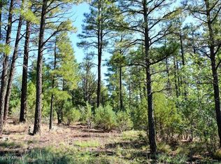 4040 Sugar Pine Loop, Show Low, AZ 85901