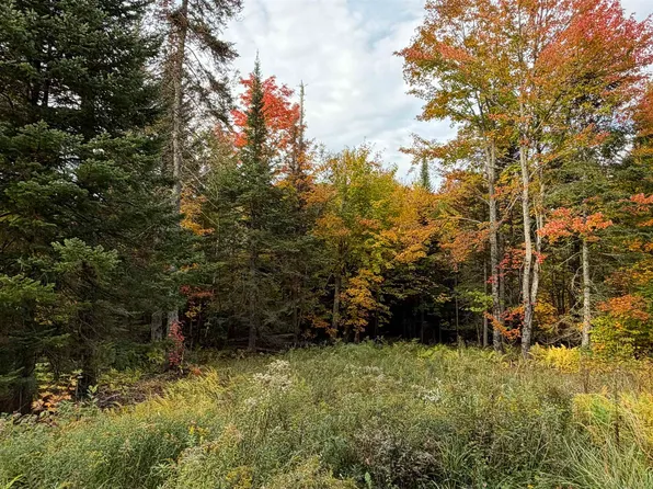 0 Shadow Lake Road, Glover, VT 05839