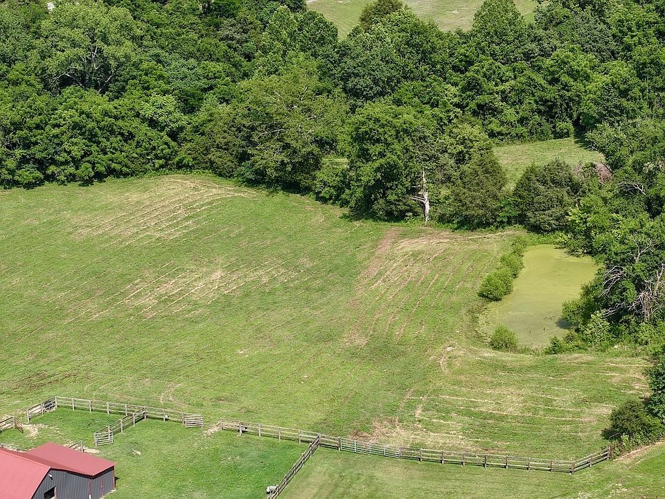 61st image of 161 Fowler Rd
