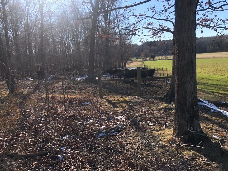 2nd image of 292 Greene 7291 Rd