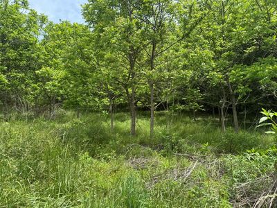 3 Still Meadow Ct, Young Harris, GA, 30582