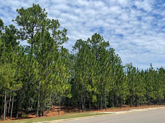 2nd image of 201 Meyer Farm Drive LOT 823