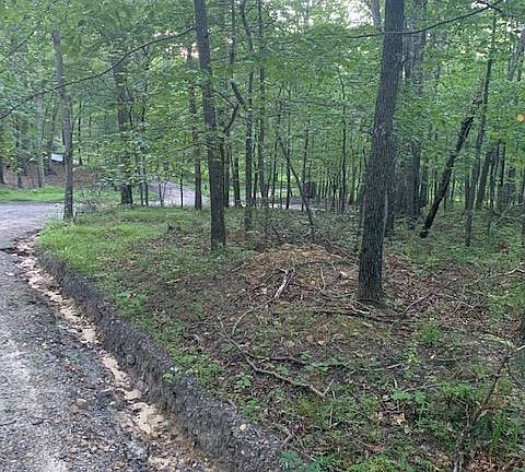 3rd image of York Dr