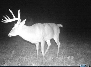 206 Hensley Rd, Bedford, KY 40006