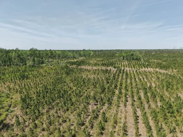 TRACT 7 Owens Ferry Rd, White Oak, GA 31568