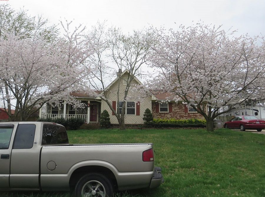 1st image of 3310 Autumn Dr