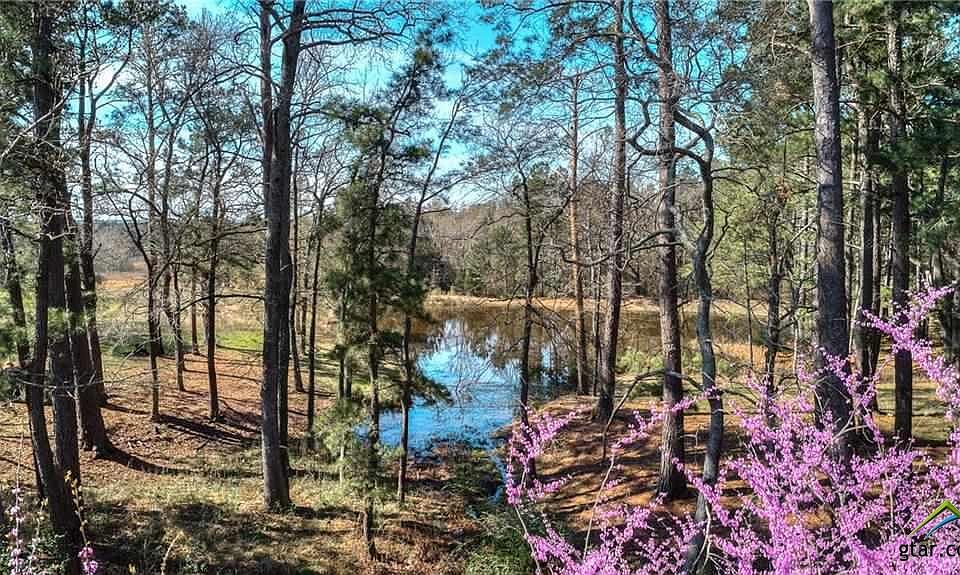 1st image of 17042 County Road 3302