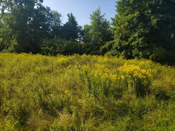 4330 E Snow Rd, Berrien Springs, MI 49103