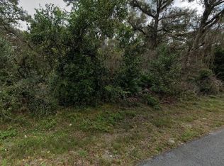 Lewis Ln, Webster, FL 33597