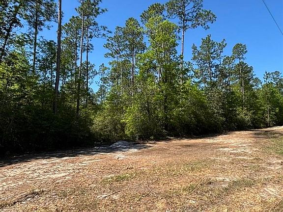 10335 Chumuckla Springs Rd, Jay, FL 32565 | MLS #643743 | Zillow