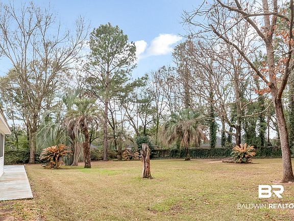 5th image of 10006 Wedgefield Ct