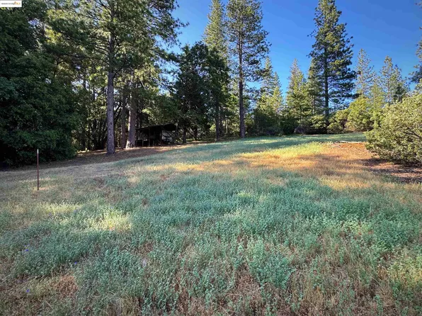 (undisclosed Address), Twain Harte, CA 95383