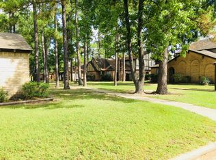 811 Interstate Highway 45 S APT 163, Conroe, TX 77301