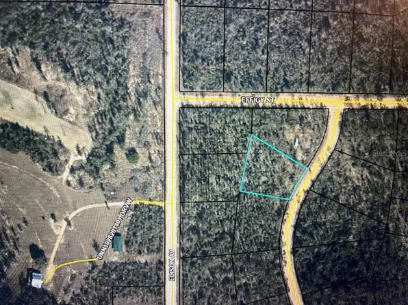 Holly Springs Ave Lot 15, Alford, FL 32420