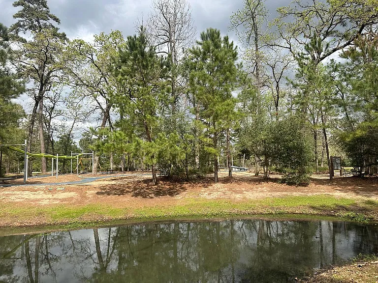 6 Gentle Branch Pl — Photo 46