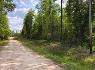 4091 Als Satch Rd, Middleburg, FL 32068