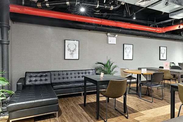 Rented by Beam Living | media 55