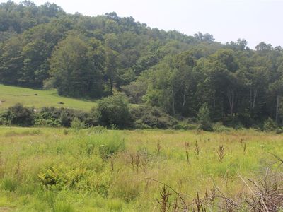 Dutch Hill, Roscoe, NY, 12776