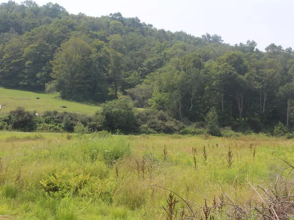 Dutch Hill, Call Listing Agent, NY 12776