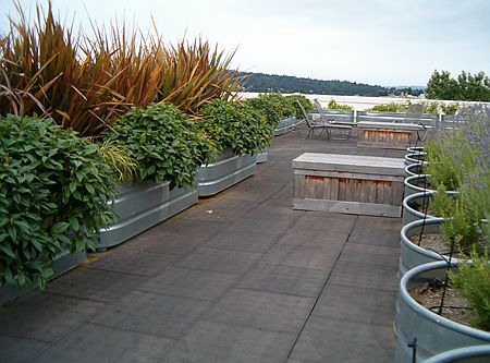 Roof Top Garden & Deck