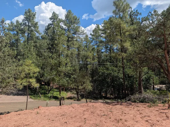 N Pine View Dr, Pine, AZ 85544