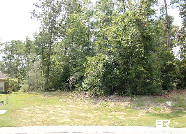 1st image of 0 Flintwood Cir