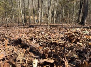 Joy Ln PARCEL B, Mena, AR 71953