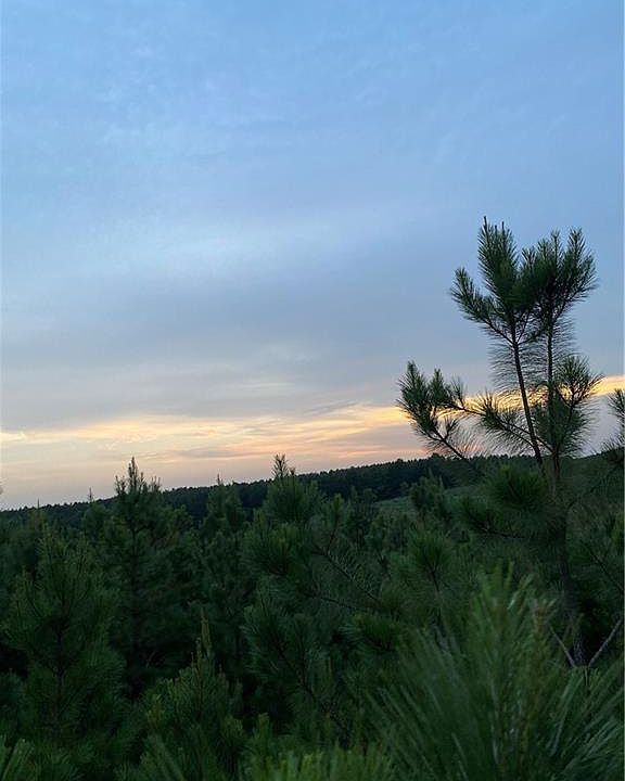 1st image of 57 Morning Pines Trl Lot 57
