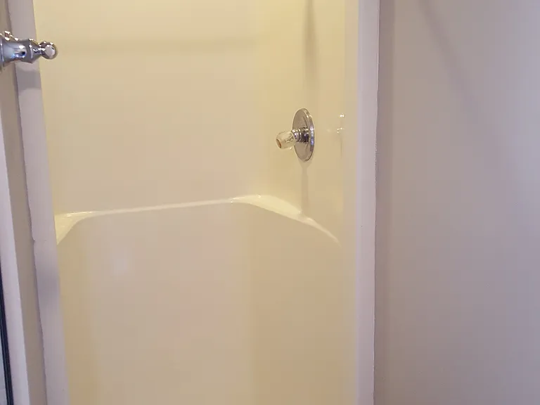 primary bath shower