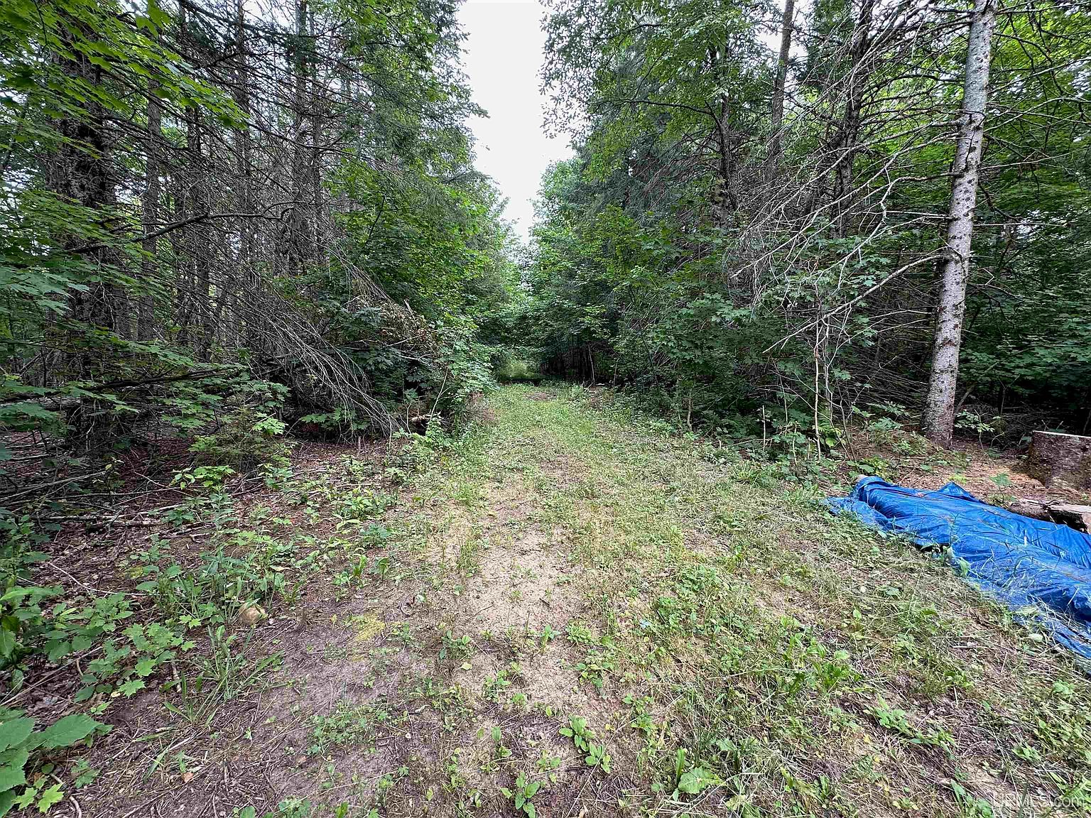 Tbd Yalmer Rd, Skandia, MI 49885 | Zillow