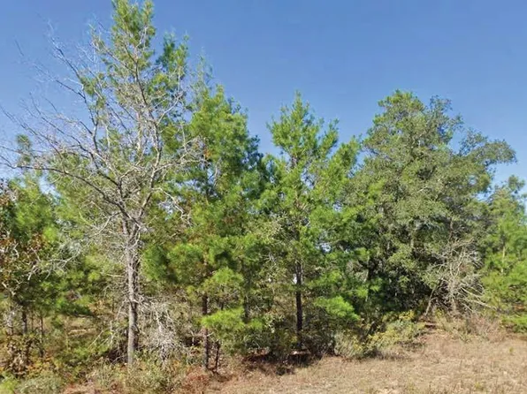 Dumajack Rd Lot 15, Chipley, FL 32428