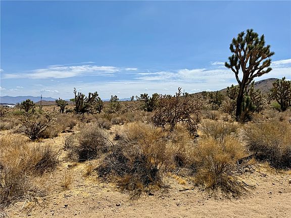 3rd image of 327-07-341 SEQUOIA Drive