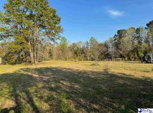 3616 Santana Ct, Effingham, SC 29541