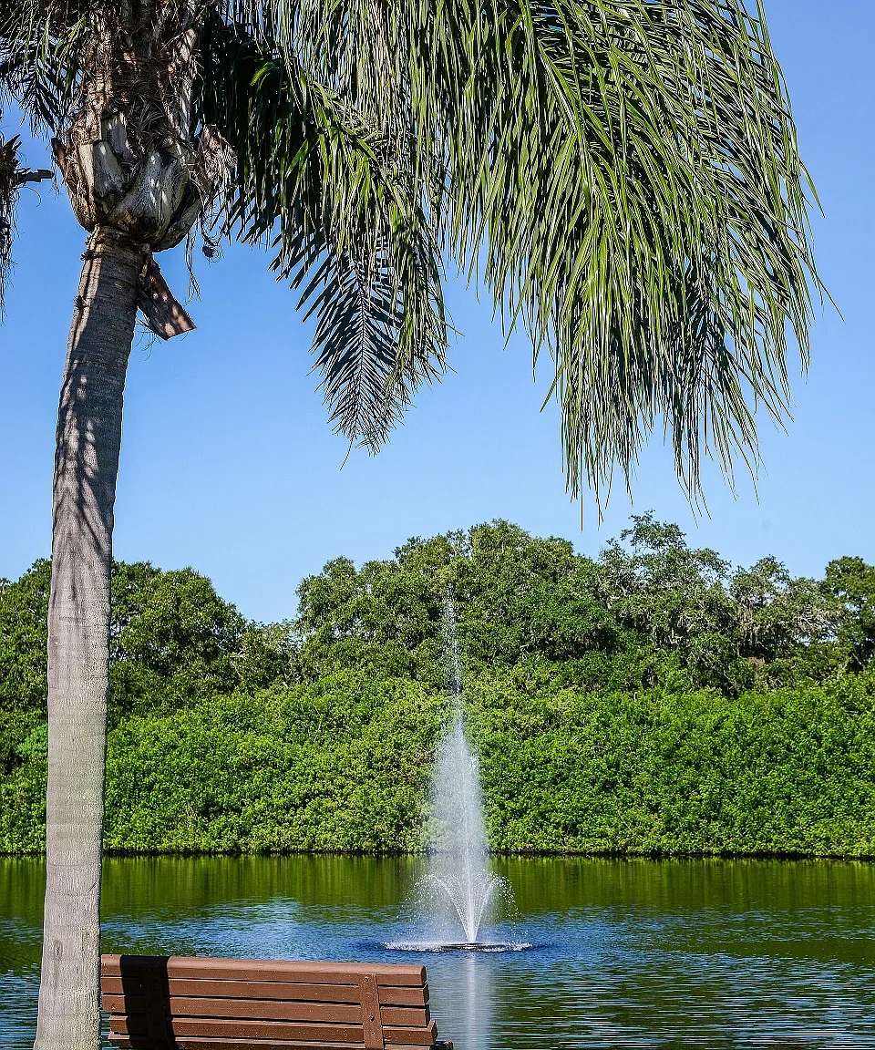 Timber Chase at Sarasota Bay — Photo 3