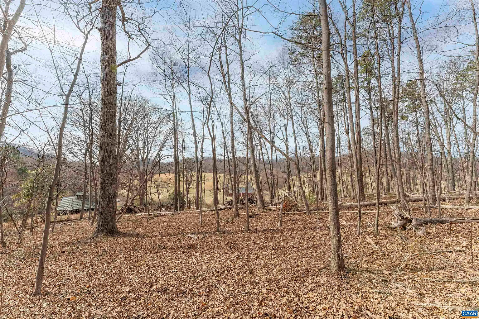 Winsome Orchard Ln photo 1