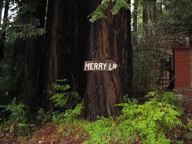 2nd image of 14996 Merry Ln