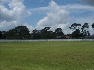 1308 N Spend A Buck Dr, Hernando, FL 34442