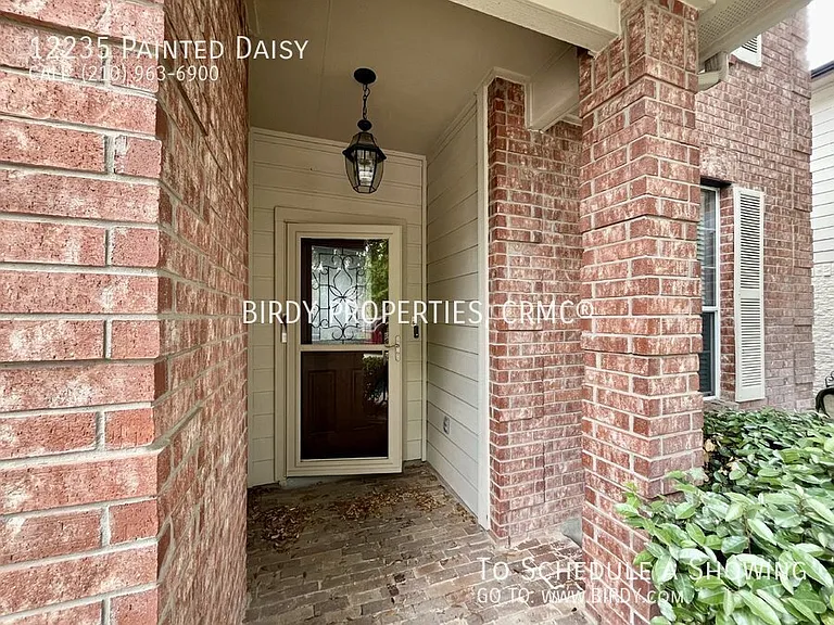 12235 Painted Daisy — Photo 43